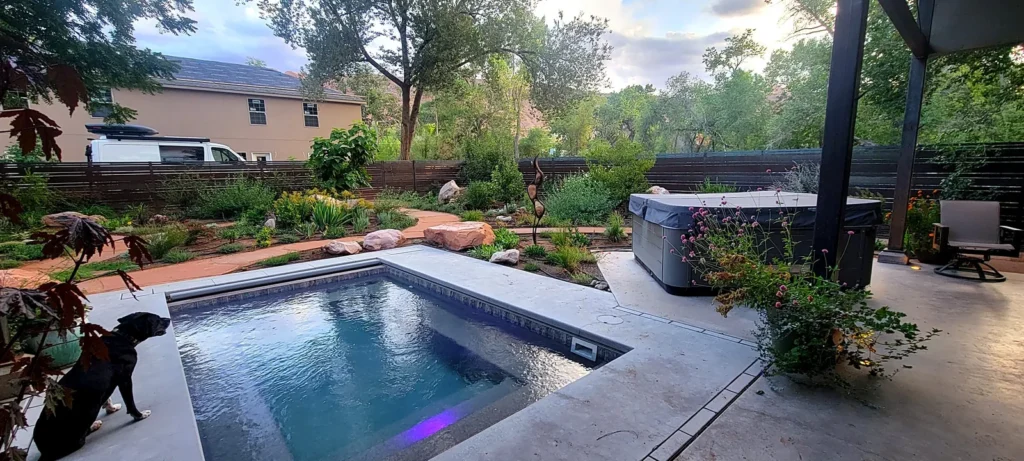 Plunge pool at dusk in a planted courtyard, with a black dog sitting at the pool edge